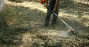 Δήμος Χαλκηδόνος: Έκκληση για τον καθαρισμό οικοπέδων – ακάλυπτων χώρων μέχρι τις 30 Απριλίου